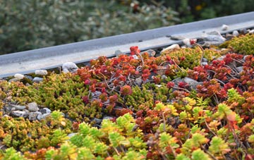 the cost of Burdiehouse green roof installation