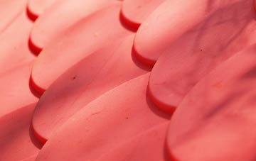 Burdiehouse plastic roof costs