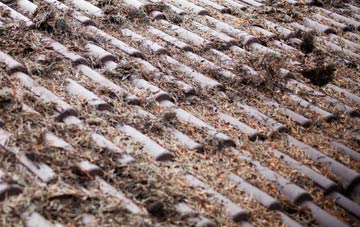 Burdiehouse roof cleaning companies