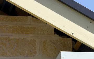 soffit repair Burdiehouse