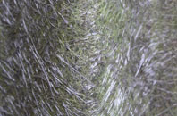 Burdiehouse fibreglass roof work